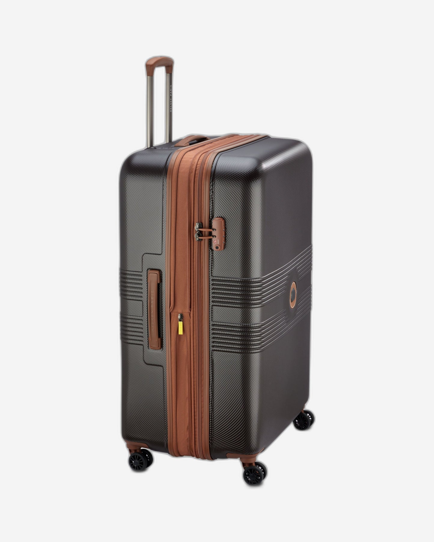 حقائب ديلسي باريس فلانيري