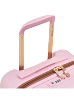 حقيبة ديلسي باريس فري ستايل القابلة للتوسيع بأربع عجلات