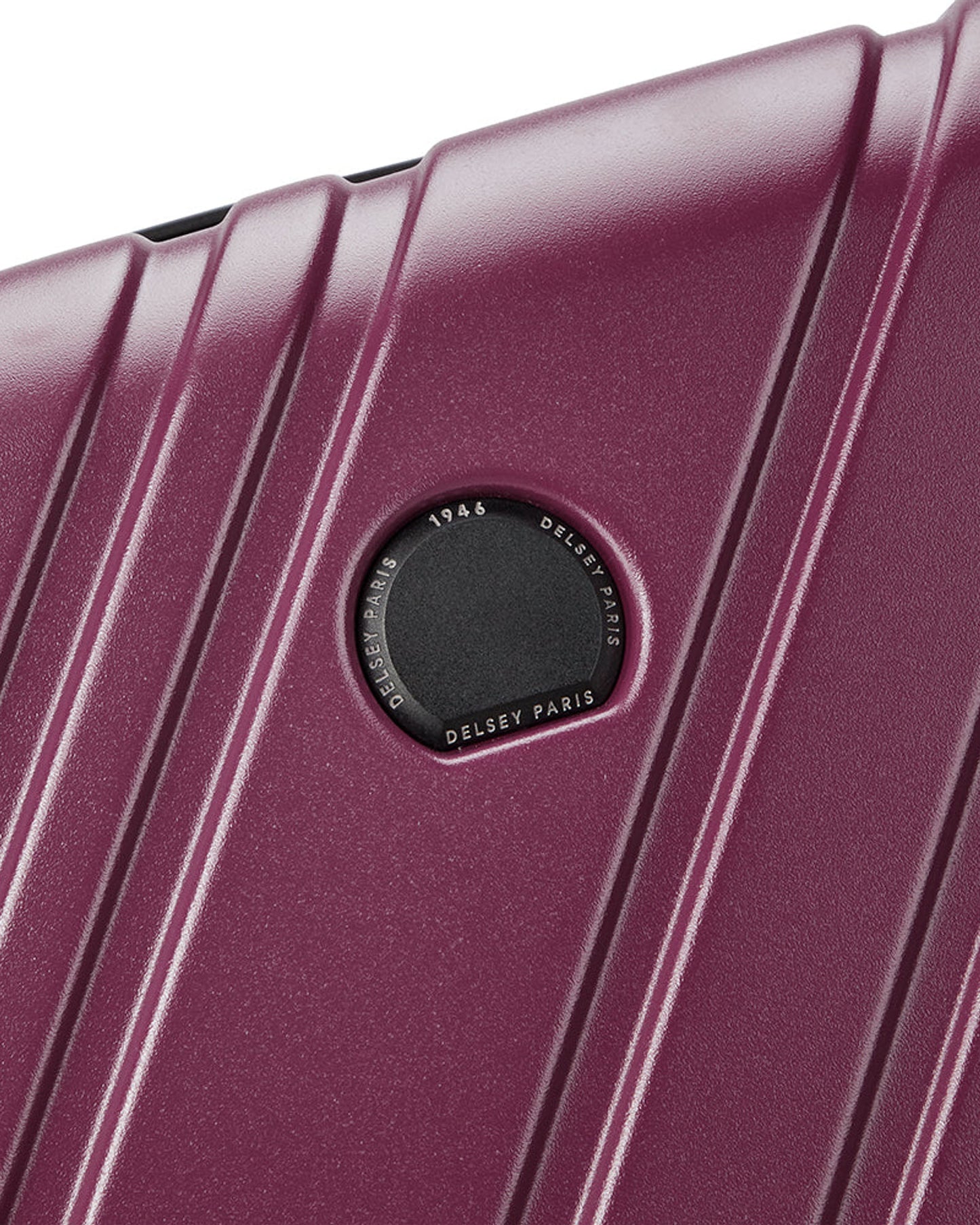 حقائب ديلسي باريس ماكسينس