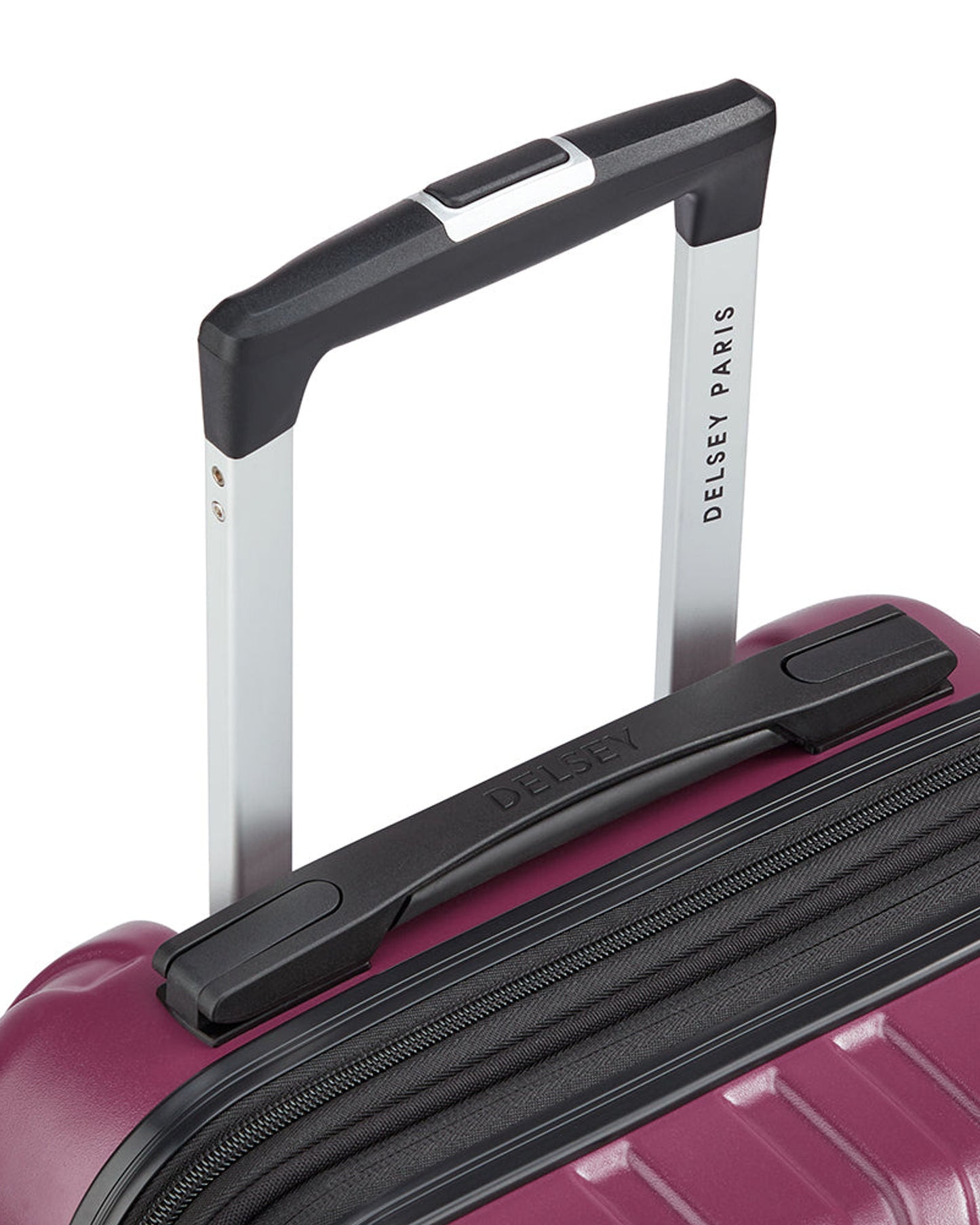 حقائب ديلسي باريس ماكسينس