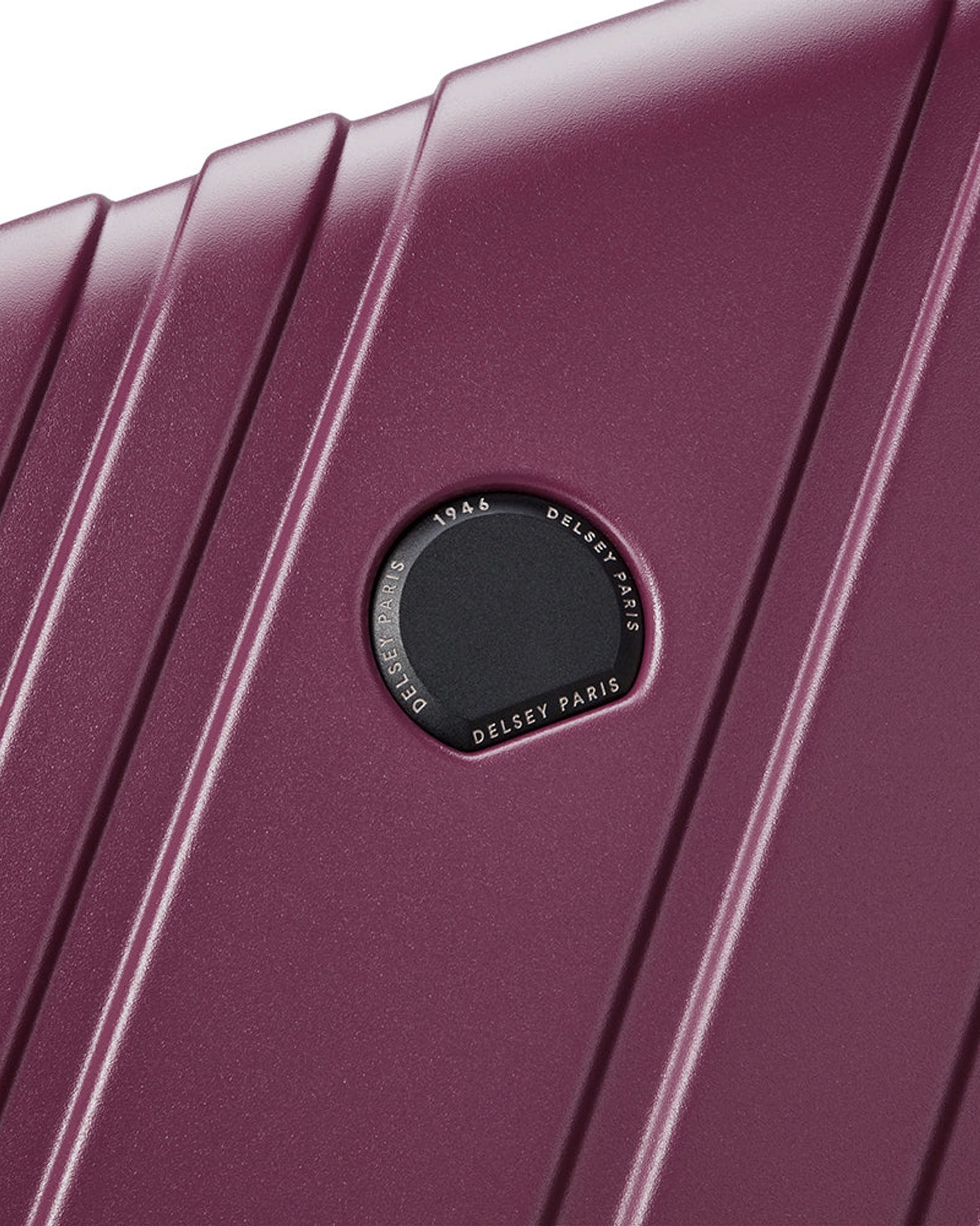 حقائب ديلسي باريس ماكسينس