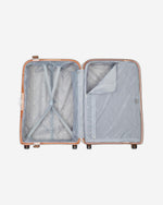 ديلسي باريس مونسي 2.0 (مجموعة مميزة)