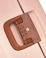 ديلسي باريس مونسي 2.0 (مجموعة مميزة)