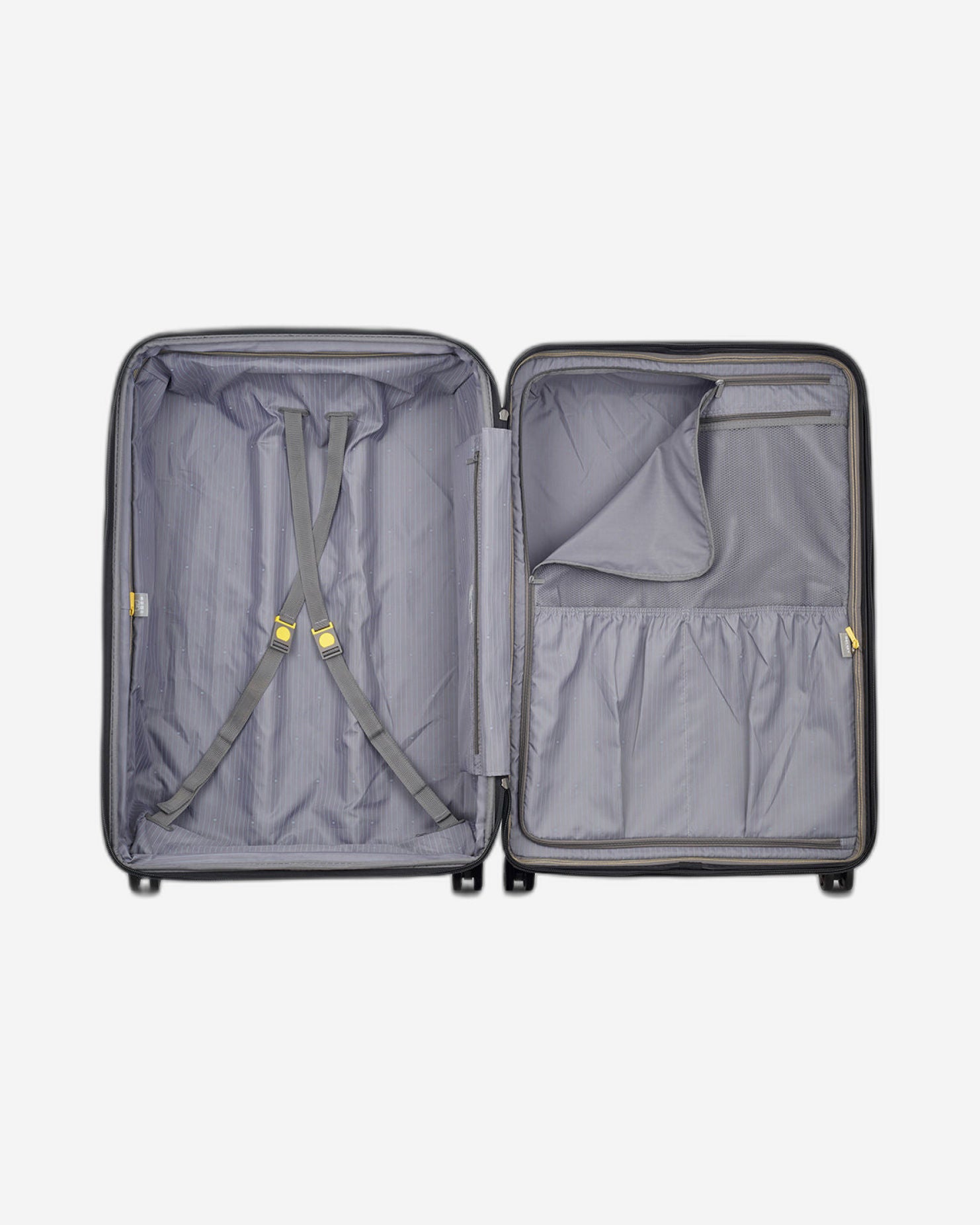 ديلسي باريس بروميناد هارد 2.0