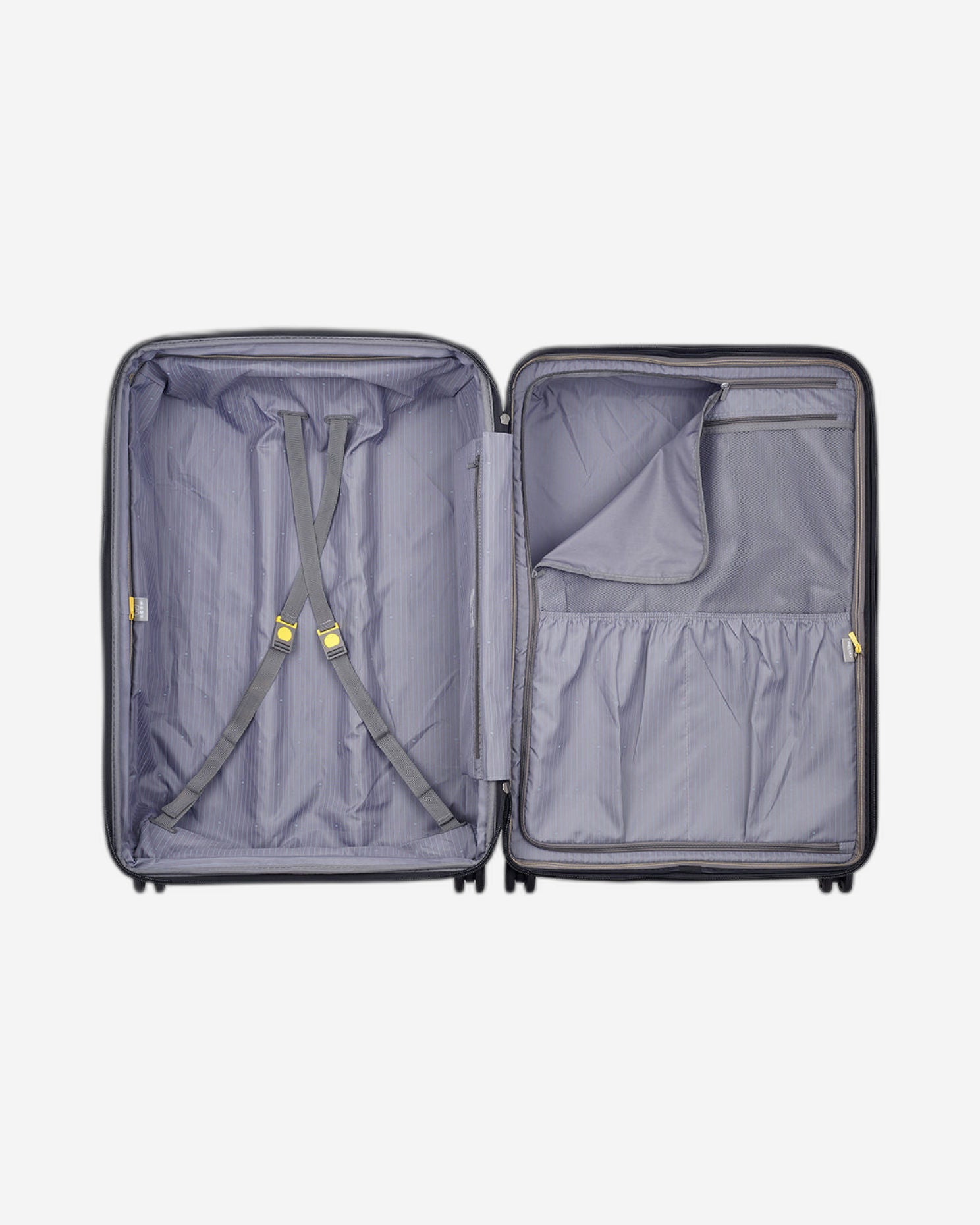 ديلسي باريس بروميناد هارد 2.0