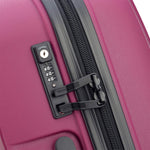 ديلسي باريس بلمونت بلس (غير قابلة للتوسيع)