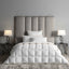 Togas Nobilis Austrian goose down duvet