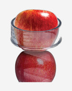 عصارة كينوود الطاردة المركزية