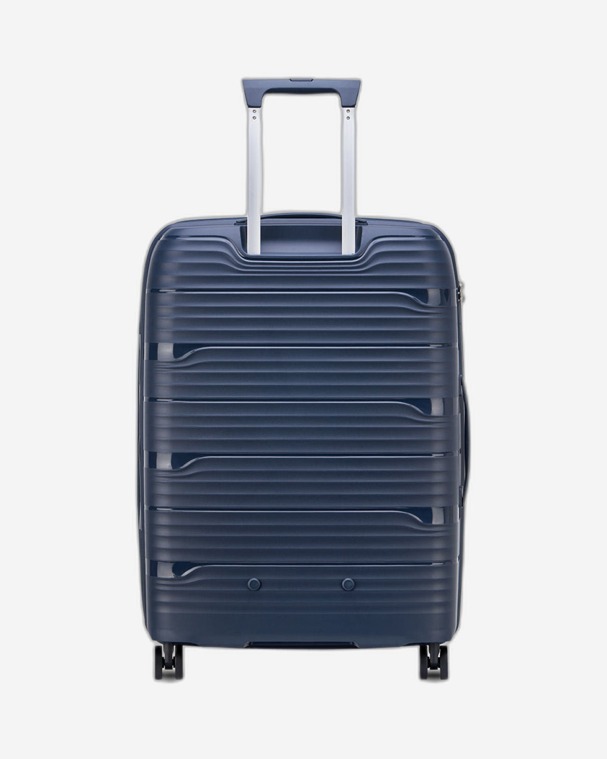 حقائب ديلسي باريس سيكيوريتك ديون