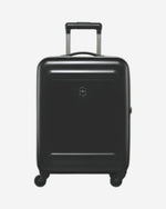 فيكتورينوكس إيثيريوس