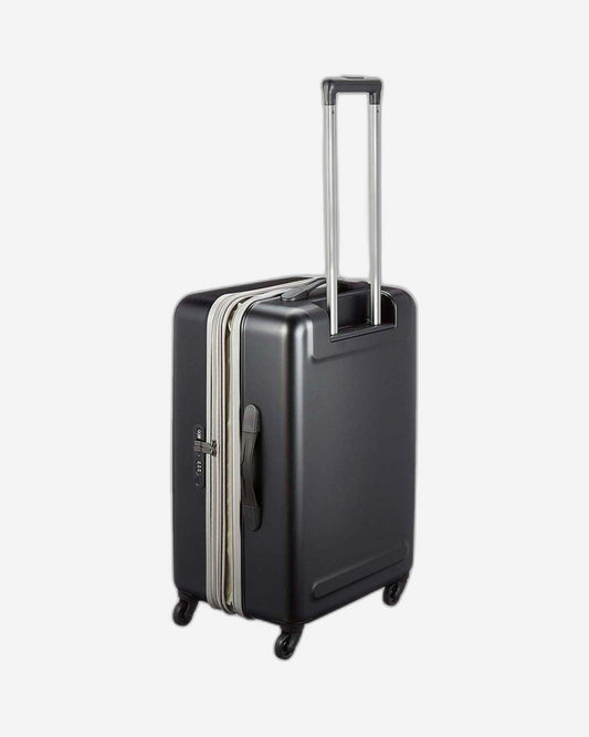 فيكتورينوكس إيثيريوس