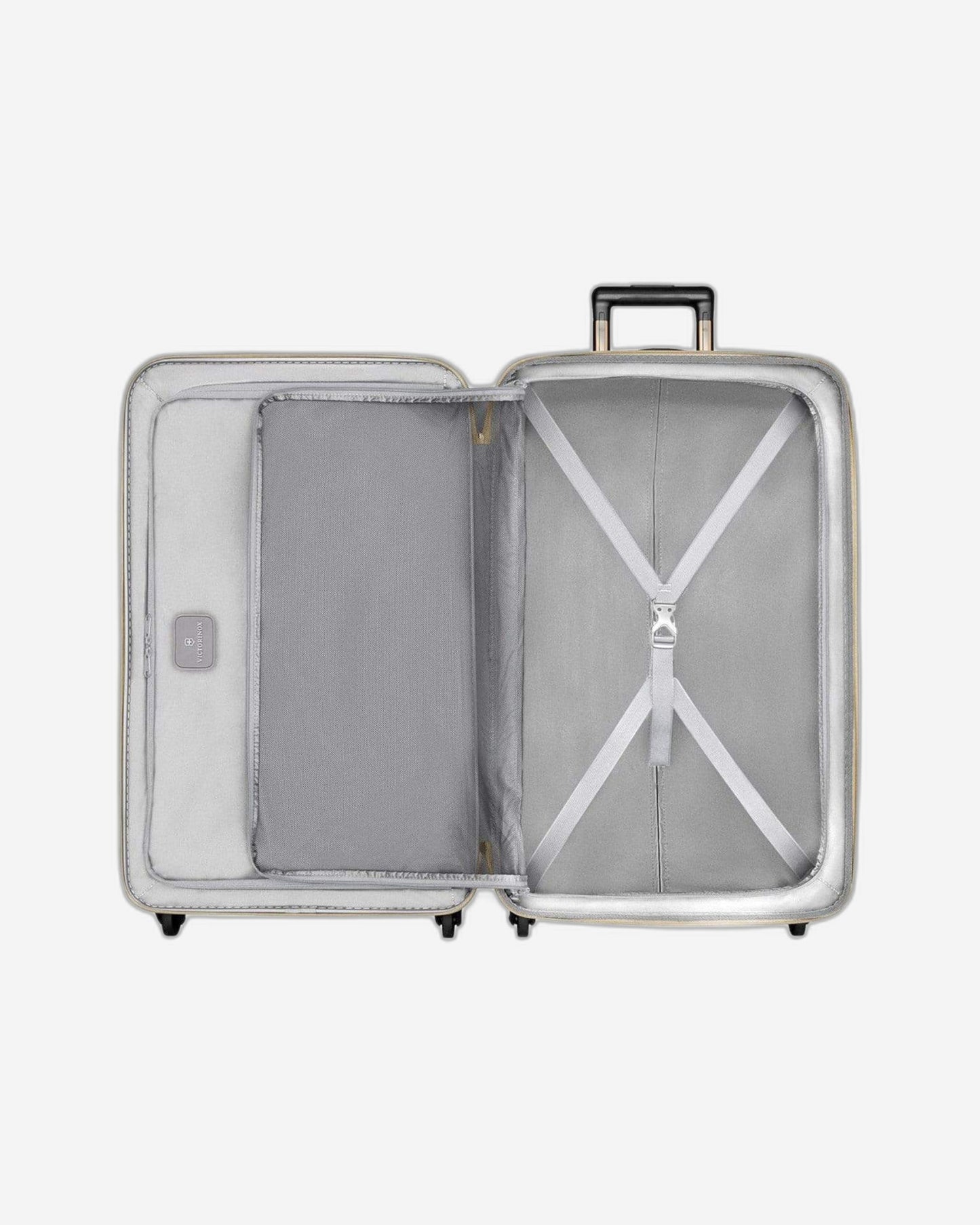 فيكتورينوكس إيثيريوس