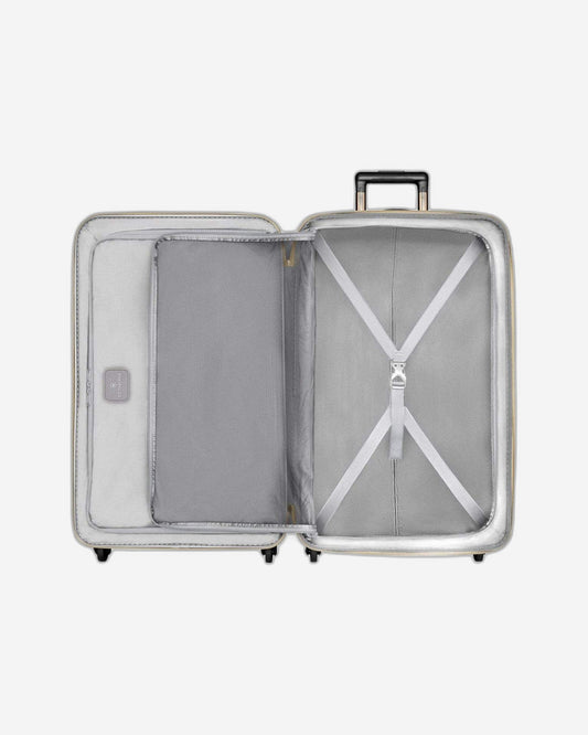 فيكتورينوكس إيثيريوس