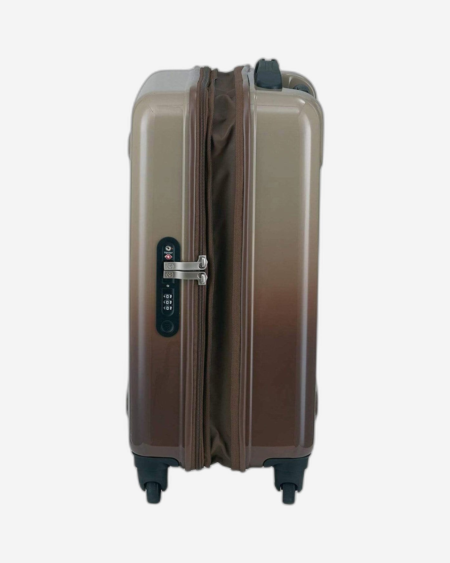 فيكتورينوكس إيثيريوس