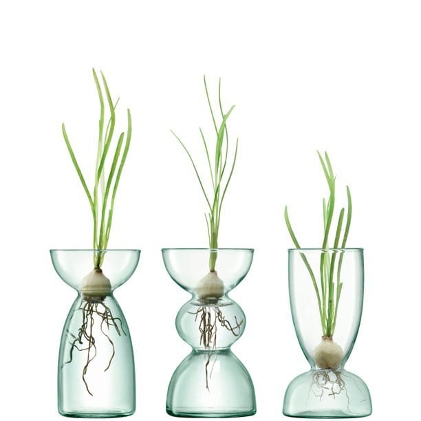 LSA Canopy Trio Vase Set Clear