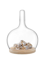 LSA Cloche Dome & Oak Base  Clear