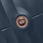 دلسي باريس كاروسيل