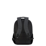 ديلسي باريس سيكوربان