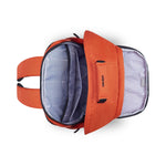 ديلسي باريس سيكوربان