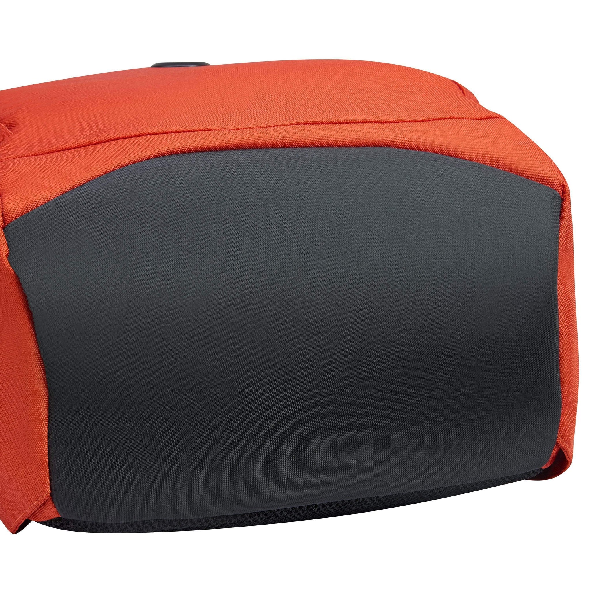 ديلسي باريس سيكوربان