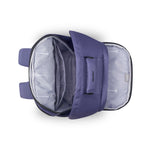 ديلسي باريس سيكوربان