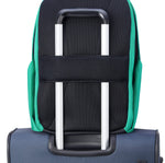 ديلسي باريس سيكوربان