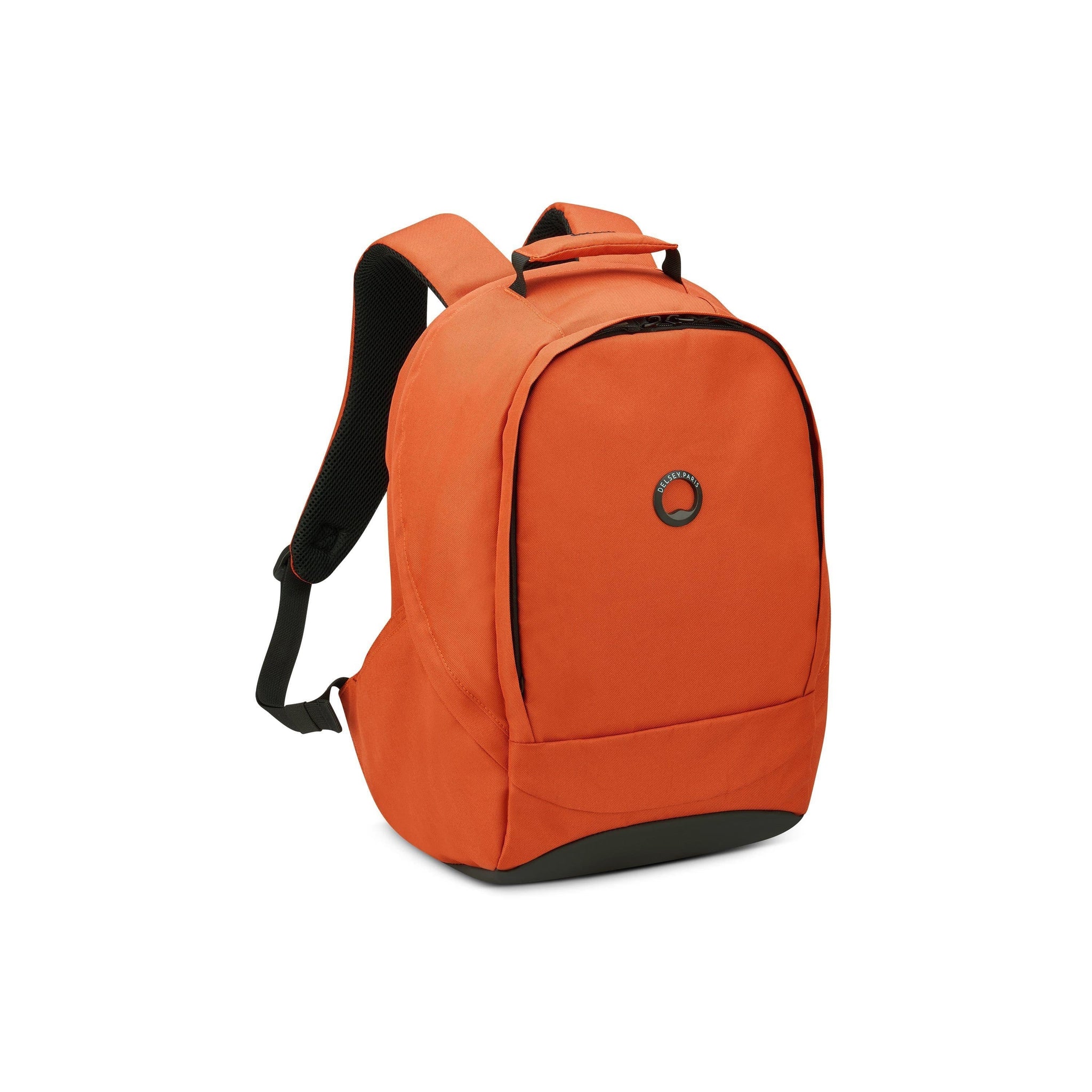 ديلسي باريس سيكوربان