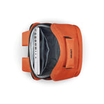 ديلسي باريس سيكوربان