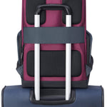 حقيبة ديلسي باريس سيكورفلاب