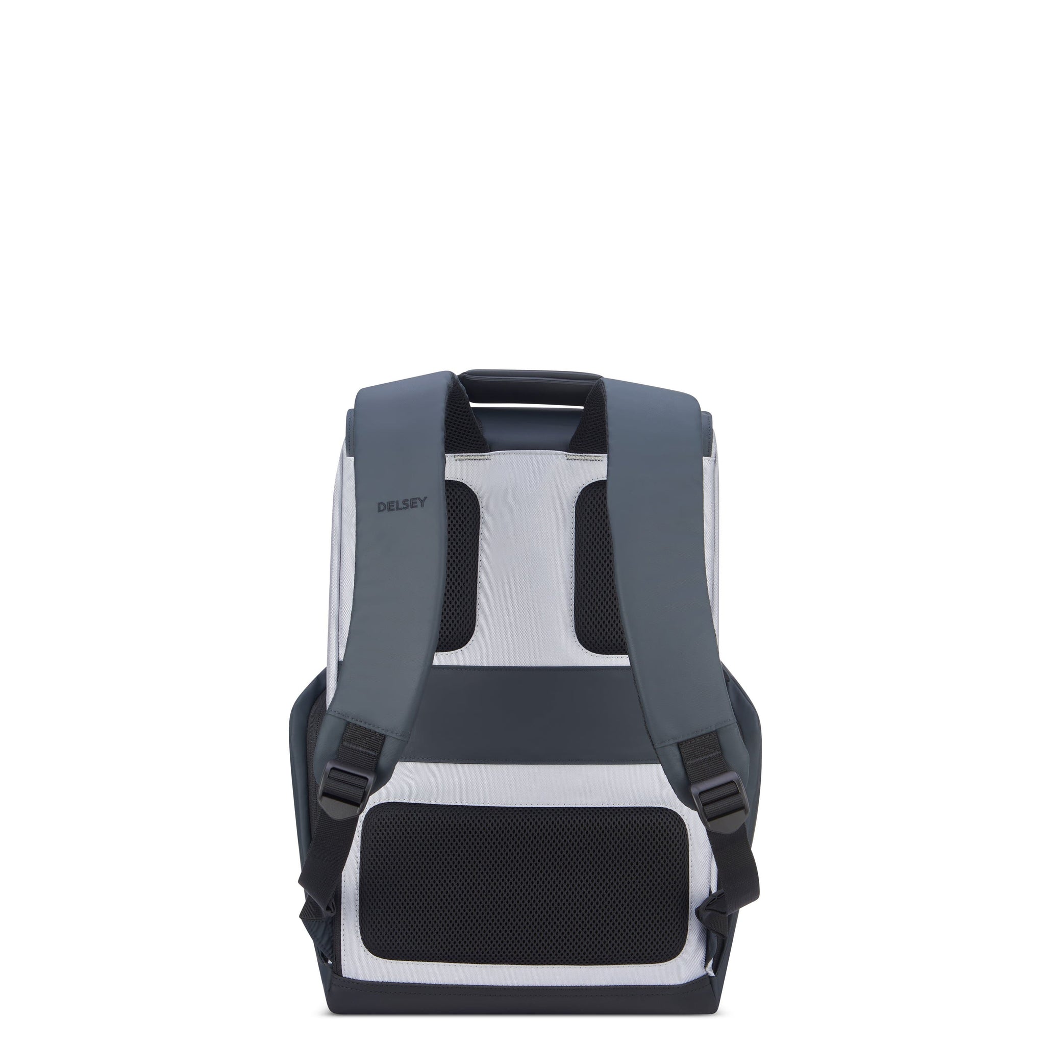 حقيبة ديلسي باريس سيكورفلاب