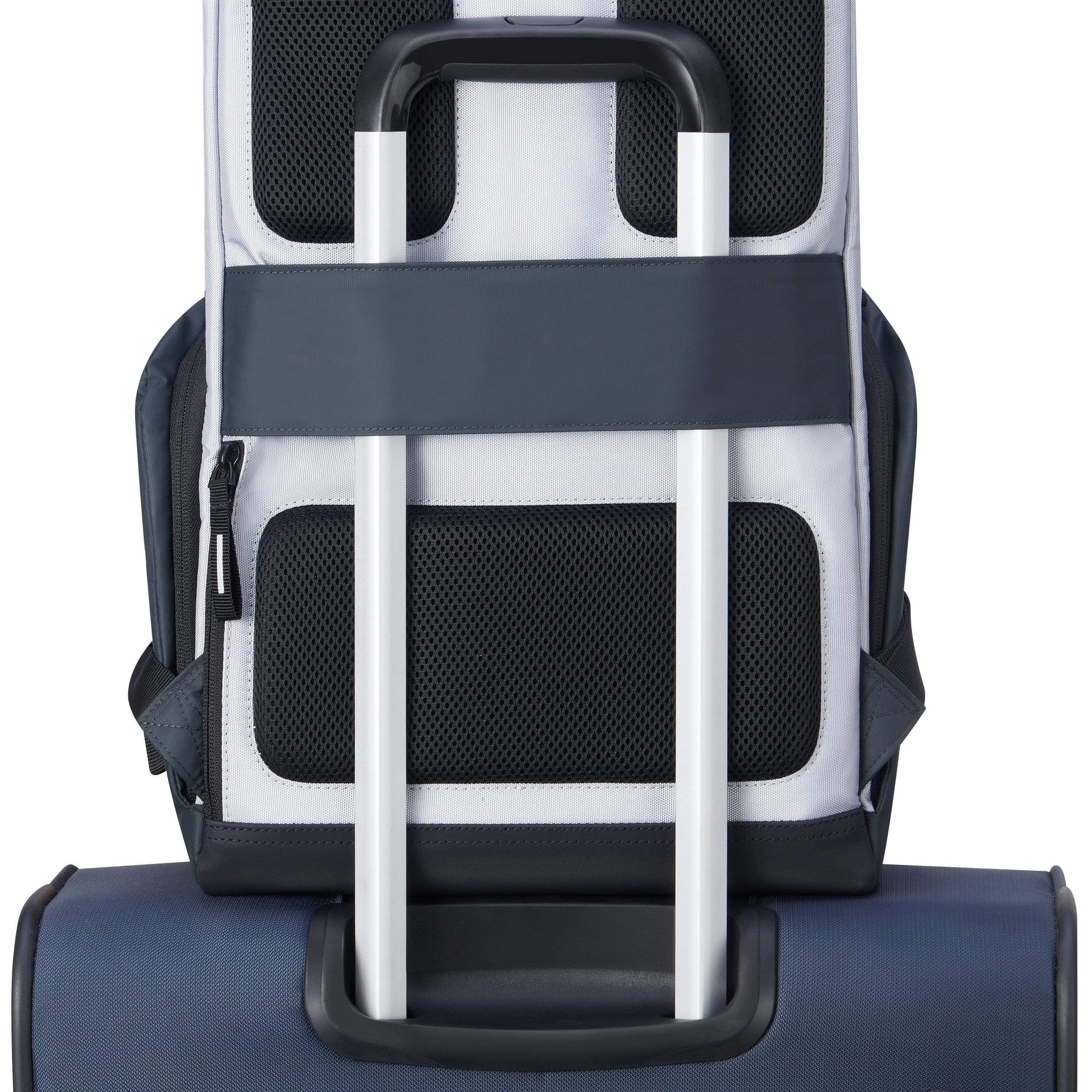 حقيبة ديلسي باريس سيكورفلاب