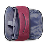 ديلسي باريس إليمنت فوييجر