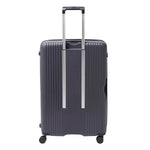 ديلسي باريس أوردينر 2.0