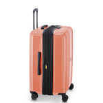 ديلسي باريس أوفيلي