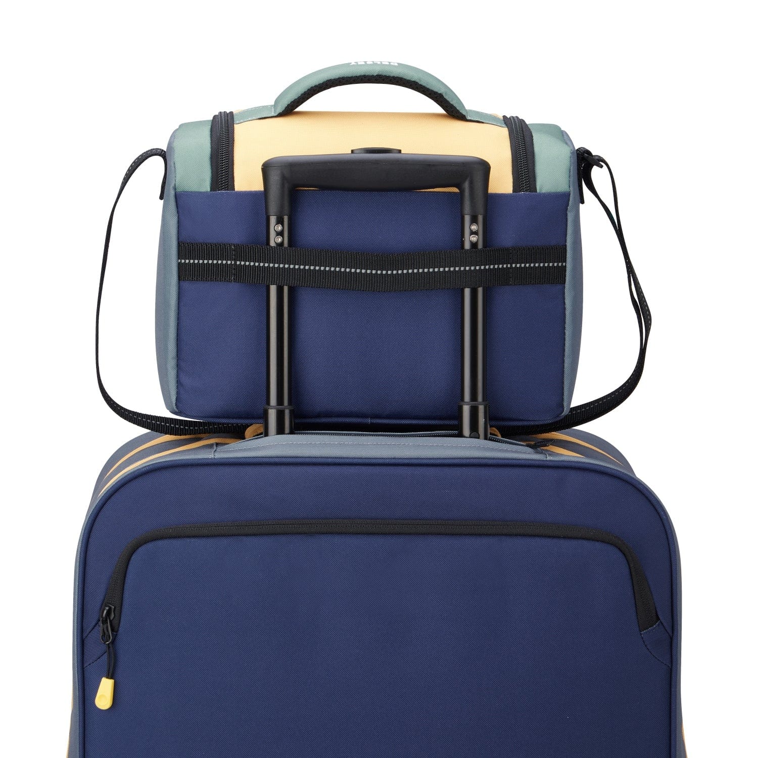 حقيبة غداء ديلسي باريس للعودة إلى المدرسة 2023 بنقشة الصبار - 00338919013