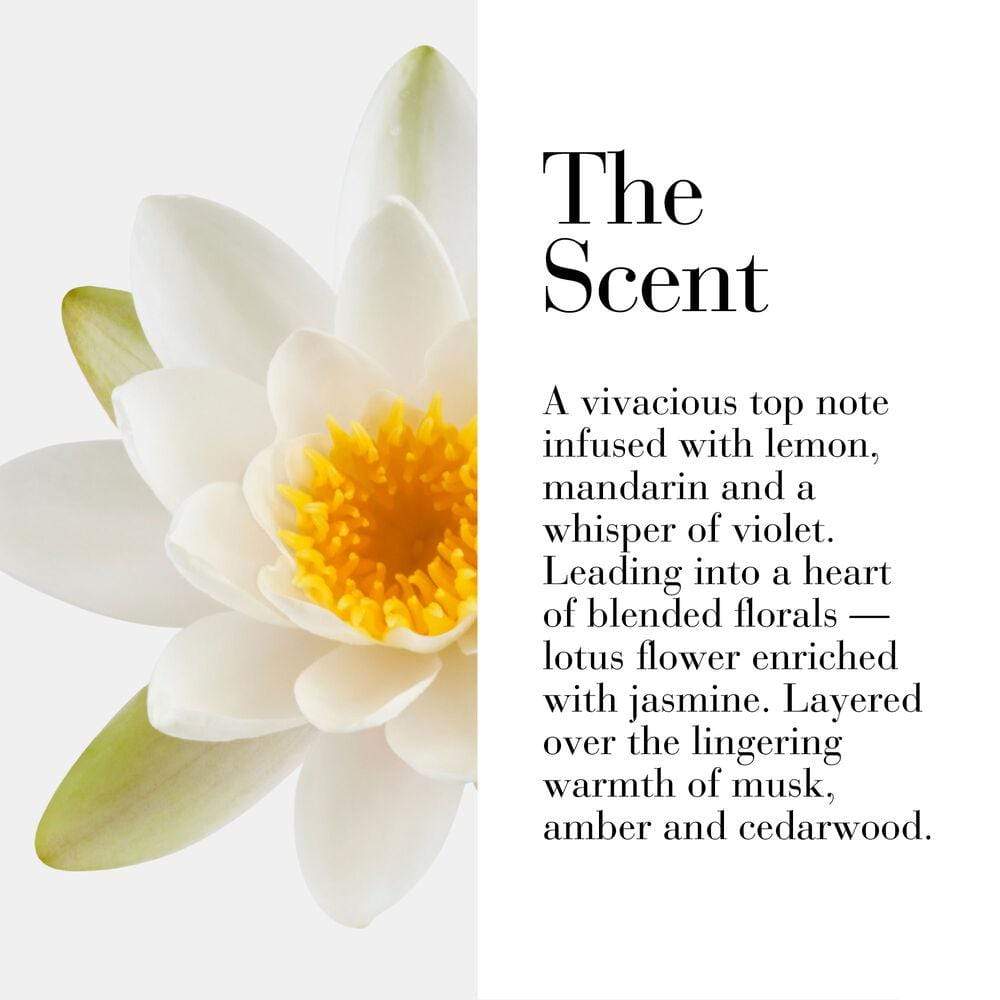 ELIZABETH ARDEN My 5th Avenue 100ml-A0115075 - Jashanmal Home