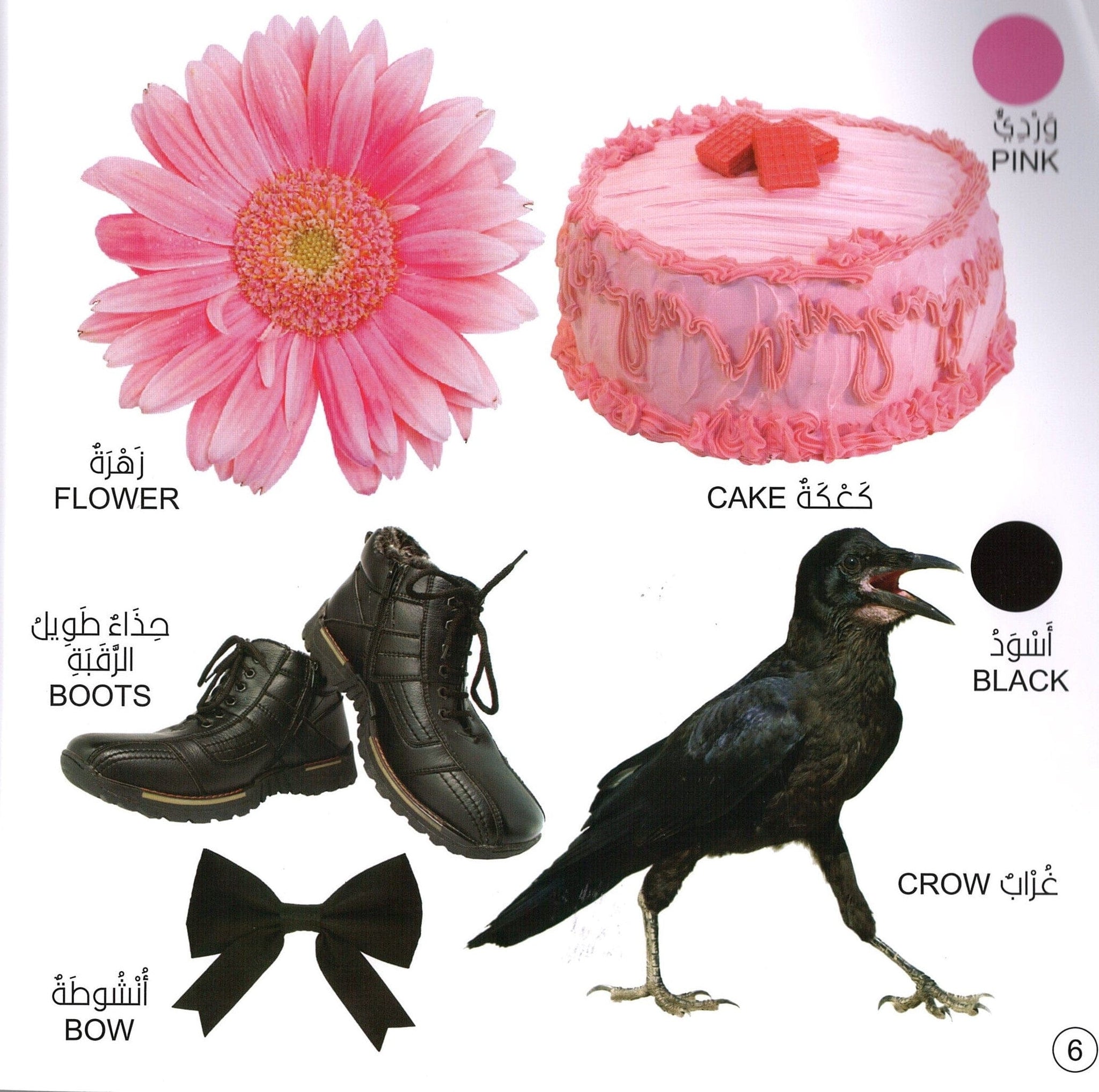 مكتبتي الأولى، الألوان والأشكال