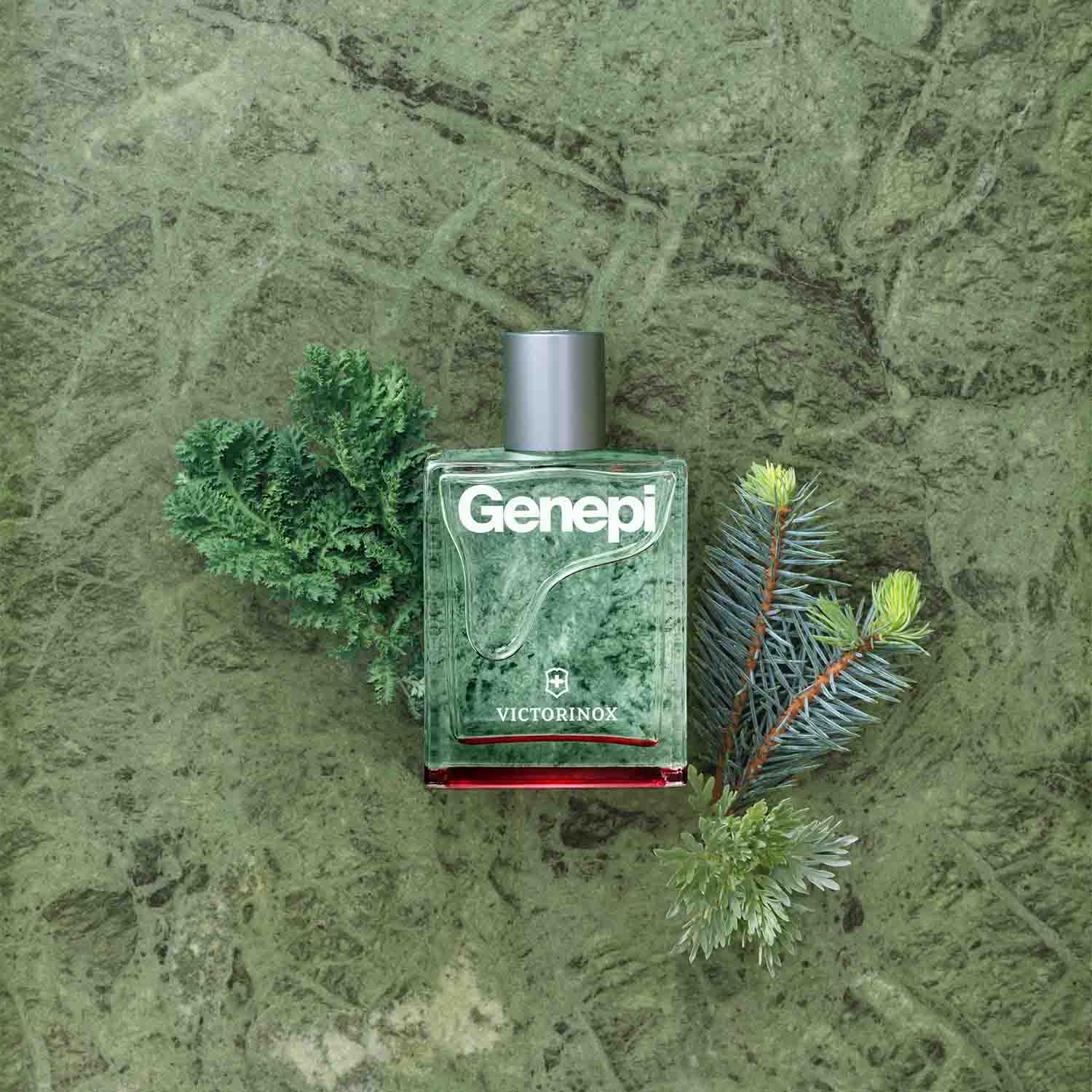 Victorinox Genepi for Him EDT 100ml