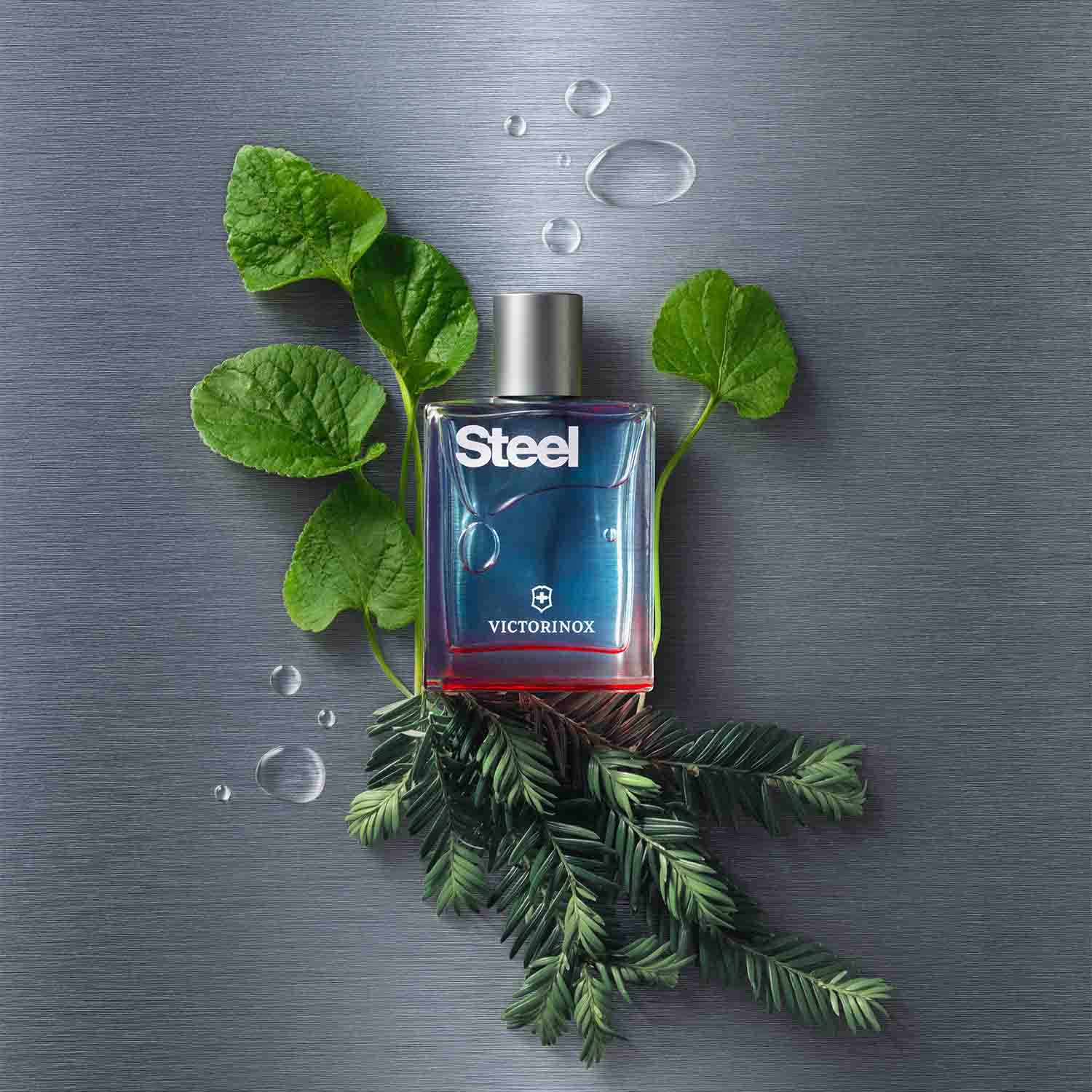 Victorinox Steel for Him EDT 100ml