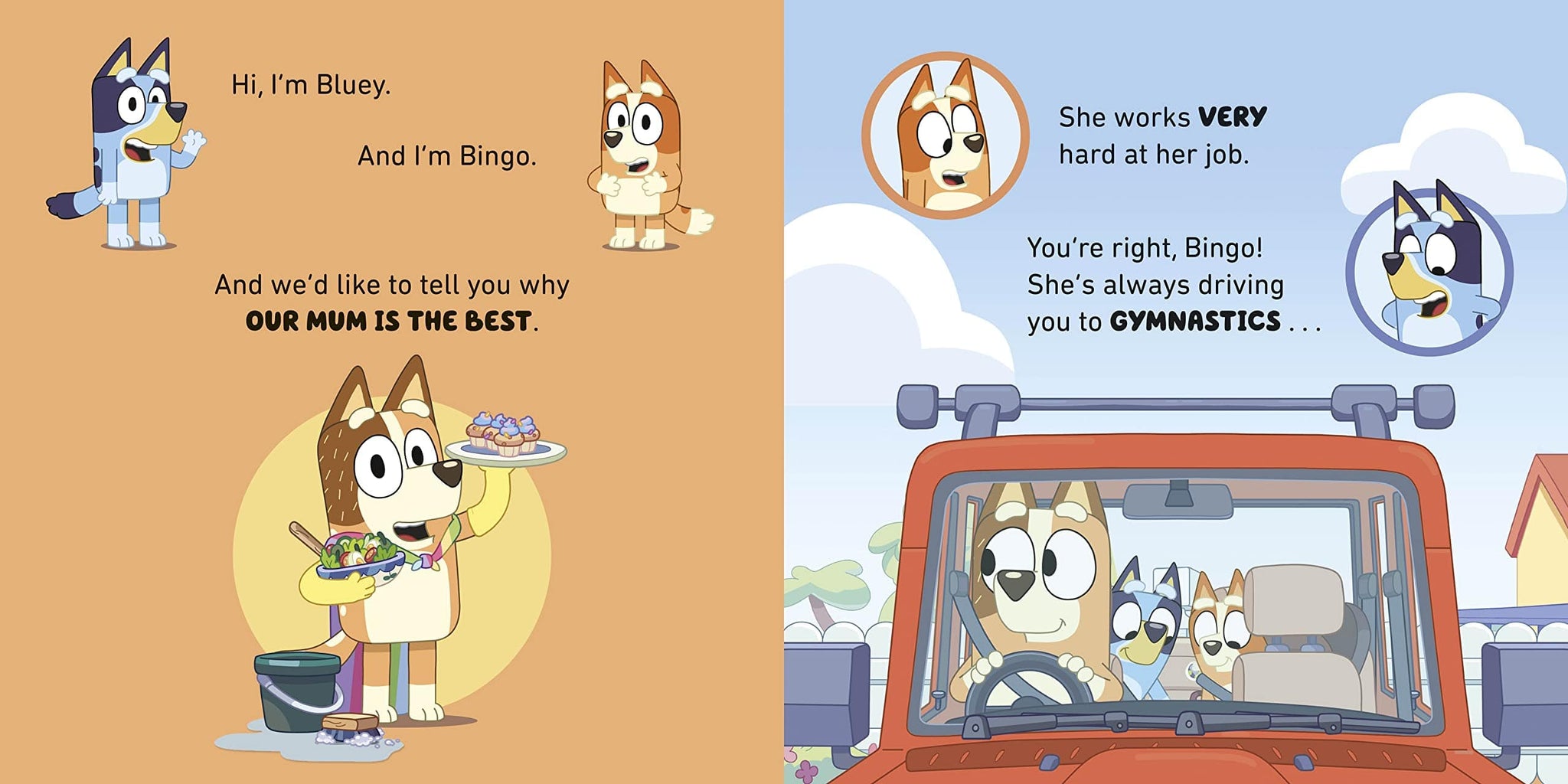 أمي الزرقاء هي الأفضل