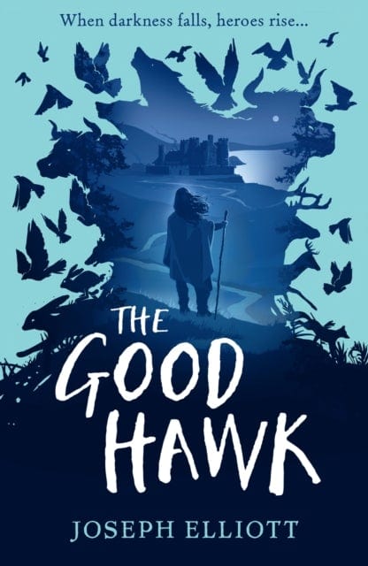 THE GOOD HAWK (SHADOW SKYE, BOOK ONE) - JOSEPH ELLIOTT 