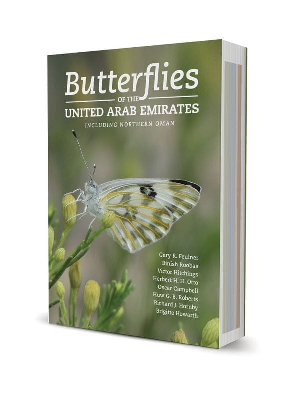 BUTTERFLIES OF THE UNITED ARAB EMIRATES INCLUDING NORTHERN OMAN