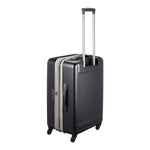 فيكتورينوكس إيثيريوس